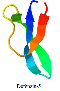 Defensin-5